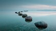 © Random - Serene stones pave a calm path across tranquil water