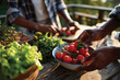 © Milos - Two individuals prep a meal using freshly harvested tomatoes, highlighting the joy of cooking with organic ingredients straight from their garden.