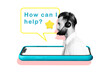 © deagreez - Composite photo collage of serious man dispatcher wear headphone peek phone screen helpline service star rate isolated on painted background