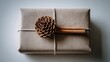 © Chuang - Top-down still life photography: a gift wrapped in kraft paper, elegantly decorated with a pine cone and cinnamon stick on a pure white background.