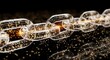 © Garuda AI - Glowing digital chain with binary code on transparent links