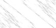 © Tamamul Khair895 - Distressed White Painted Wood Texture Background for Graphic Design. eps10