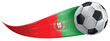 © doom.ko - Portugal flag colored soccer ball, realistic vector style