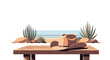 © markusmiller - Desert scene with cowboy hat on wooden table and cacti background