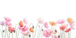 © Rosa Alba L  - Watercolor poppies and wildflowers border in soft pastel colors, delicate floral illustration with white background for design, hand painted, design element