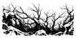 © Cristiano - Dense thicket of bare branches and tangled trees in a spooky forest landscape