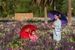 © geargodz - woman and child girl in yukata (kimono dress) walking with angelonia flower blooming in garden