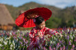 © geargodz - preschool child girl in yukata (kimono dress) holding umbrella with angelonia flower blooming in garden
