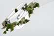 © Rendara Studio - 3D botanical ribbon garden with airy bloom and shrub flow