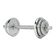 © HotDog - Luxurious Dumbbell Embellished with Diamonds and Silver
