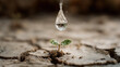 © Eisa - A small green plant sprout growing in dry cracked earth with a single drop of water falling on it from above outdoors