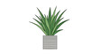 © Jasper - Minimalist illustration of a green leafy potted plant sitting in a textured grey container isolated on a white background.