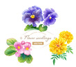 © Keiko Takamatsu - 春の花苗3種（ベゴニア、パンジーマリーゴールド）の水彩イラストセット　ベクター　花と葉のレイアウト変更可能