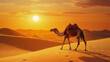 © SmartArt Pixels - Camel walking alone in desert at sunset with vibrant orange sand dunes