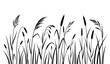 © Nahid - Minimal tall wild grass silhouette vector meadow plant illustration
