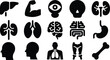 © Zahid - Black silhouettes of human body parts and organs on white background for medical concepts  health icons