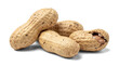 © Terri - transparent png image of four whole peanuts in their shells, one cracked open, on a transparent background, showcasing raw nuts with visible texture.
