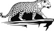 © oplos - Black and white illustration of a spotted big cat walking on a rocky ledge