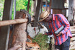 © arrowsmith2 - Proud African livestock farmer working in a traditional cattle shed.