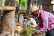 © arrowsmith2 - Proud African livestock farmer working in a traditional cattle shed.