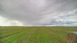 © beholdereye - A serene agricultural landscape exudes a profound calmness, with stunning clouds hovering above