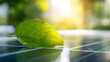 © Bonsales - Green leaf illustrating sustainable energy production, natural environment interacting with solar panel technology