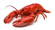 © kepin - A close-up of a vibrant red cooked lobster on a clean white background, ready to eat