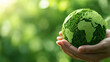 © @Amorea10 - Green Earth in Human Hands – Sustainable Environment, Ecology and World Conservation. Earth day. Hand holding green earth.