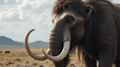 © Frank - Portrait of a mammoth in the steppe