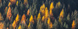 © PATMALUPHOTO - A panoramic view of a dense forest with green and golden larches. Rabbi valley,Stelvio National Park,Trentino,Italy
