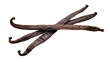 © Ari - Isolated natural aromatic dry vanilla beans and pods, flavorful gourmet baking ingredient