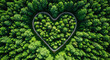 © Nur - Heart Shape Road Aerial View Green Trees Forest Nature Love Symbol Path Outdoor Woodland Landscape Countryside Environmental Scenic Affection Park