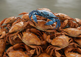 160_f_1946572433_kzwrzsikjsriicekzjkewehwblclrjac