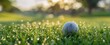 © Studio Nova - The golf ball on dewy grass at sunrise on a golf course with bokeh background