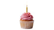 © Antonio - Isolated festive birthday cupcake with pink frosting and a glowing golden lit candle
