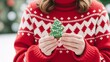 © MdShariful - Child holding small green Christmas tree in red snowflake sweater during festive holiday season close-up