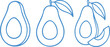 © Selimfreelancer - Line art avocado fruits icons transparent