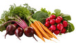 © Fried - Isolated fresh raw organic vegetables assortment with beets, carrots, broccoli, and radishes.
