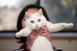 © hakase420 - 飼い主に抱かれている白い猫
