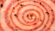 © Jhon - yanked. Close-up of a mortadella slice showing its marbled pattern of meat and fat. menu design, packaging mockups, designed for food delivery and cloud-kitchen brand materials, used by hr managers.