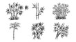© gunzexx png and bg - bamboo, Hand-drawn outline doodle sketches vector set collection , white background , PNG and SVG isolate