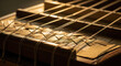 © dals stock - Sasando Instrument Close up with Strings Indonesian Musical