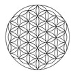 © CllifforD - Flower of Life Sacred Geometry Pattern