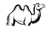 © Sastro - Monochrome camel silhouette illustration against white background