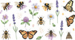 © ISMOTARA - Hand drawn bees butterflies and wildflowers collection with lavender daisy clover botanical elements isolated decorative nature vector illustration set