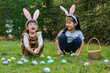 © geargodz - two happy child girl wearing bunny ears playing together and hunting for Easter eggs into basket on green grass in garden