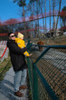 © phpetrunina14 - Father holding toddler at petting zoo enclosure.