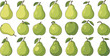 © HELEN QUEEN - Green pear fruit collection with different shapes and styles. Fresh organic pears icon set for healthy food, grocery, dessert and fruit design.