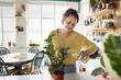 © ReeldealHD images - Woman Caring for Indoor Plant in Bright Kitchen Space