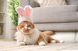 © Pixel-Shot - Cute cat in bunny ears lying on carpet in living room. Easter celebration